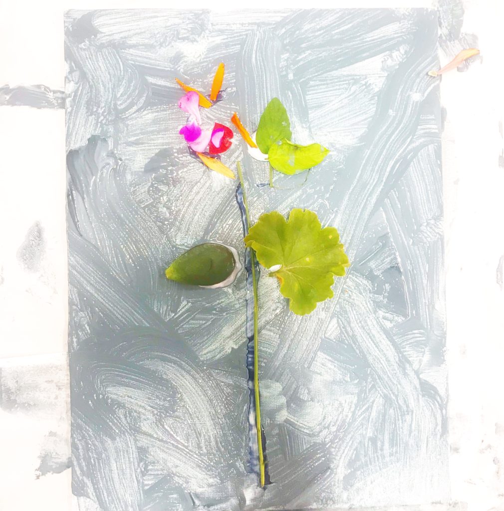 Flower Art and Science for Preschoolers: Inspired by Franz Bauer