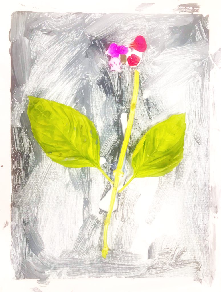 Flower Art and Science for Preschoolers: Inspired by Franz Bauer