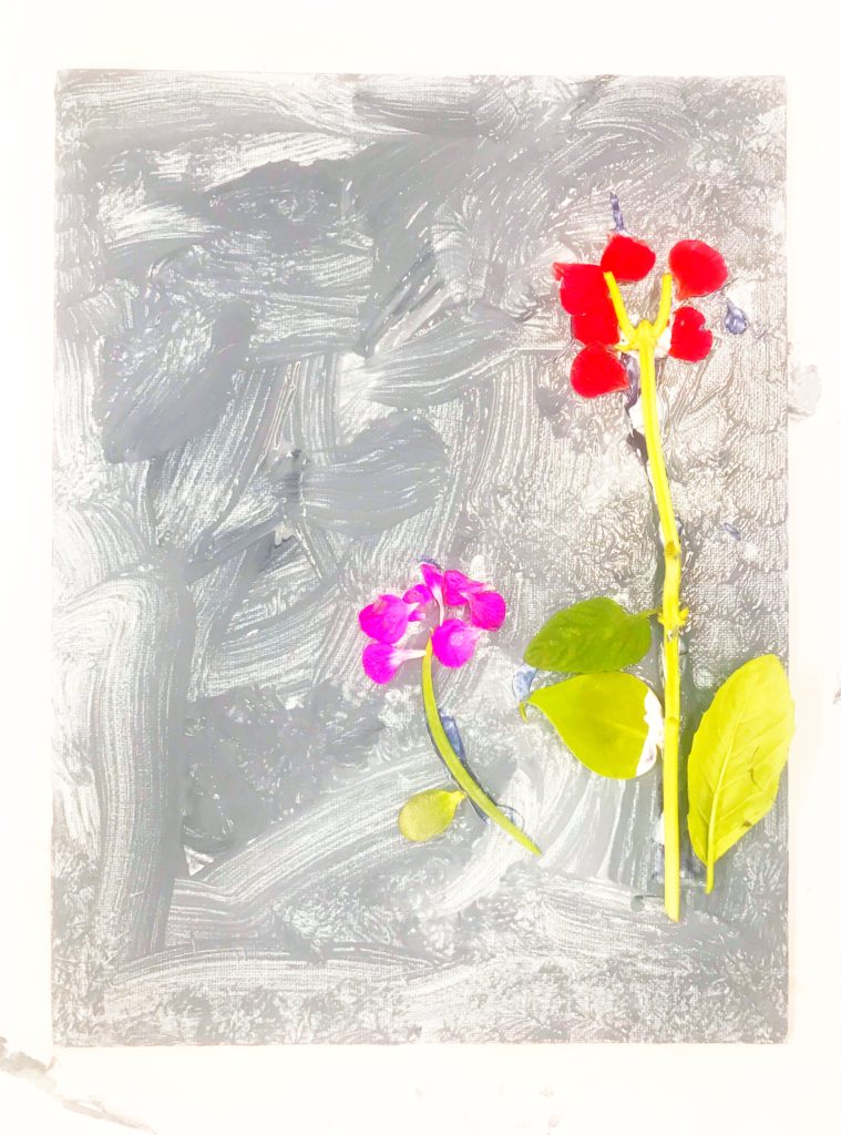 Flower Art and Science for Preschoolers: Inspired by Franz Bauer