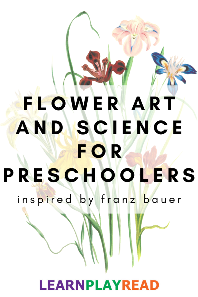 Flower Art and Science for Preschoolers: Inspired by Franz Bauer