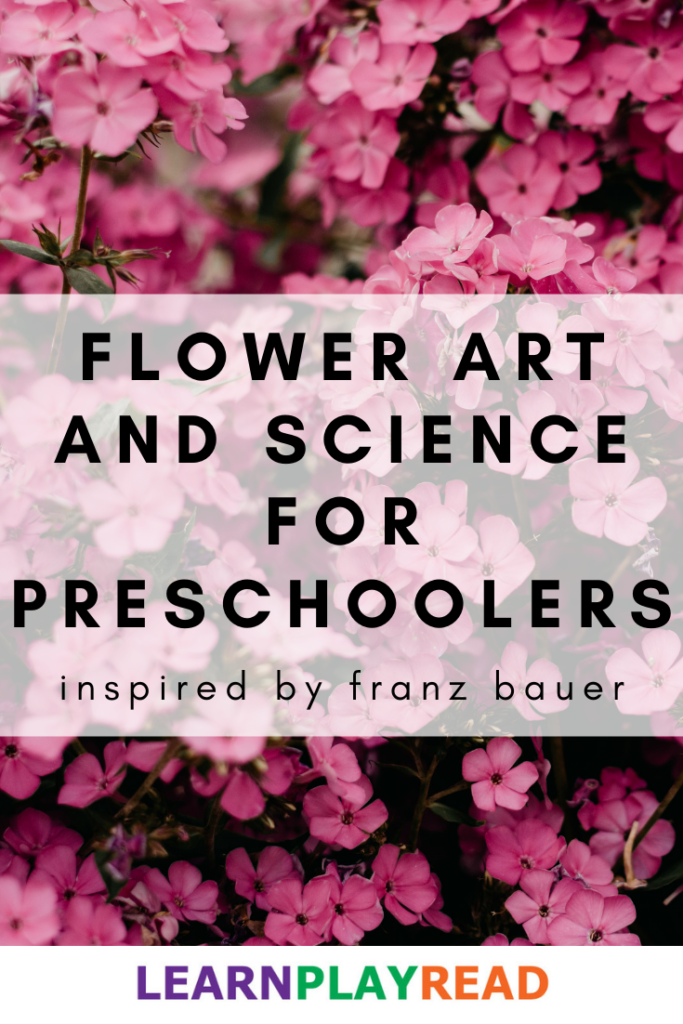 Flower Art and Science for Preschoolers: Inspired by Franz Bauer