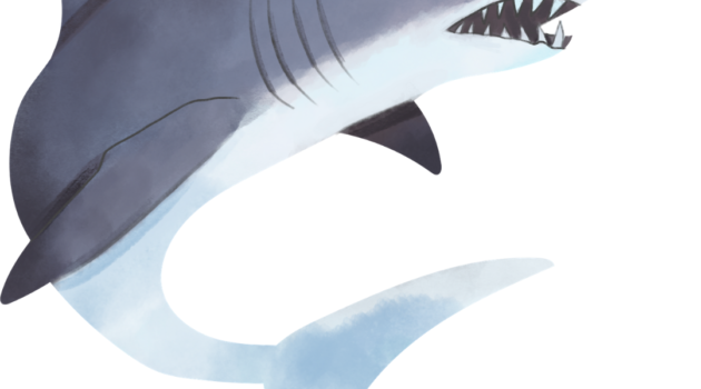 all about sharks! picture books for kids